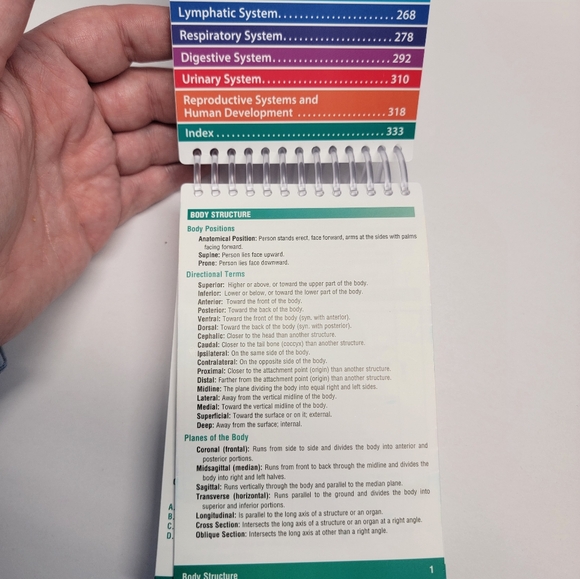 pocket anatomy & physiology 4th Edition jones - Picture 3 of 4